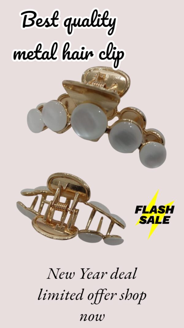 4 Piece Best Quality Hair clip - Image 2
